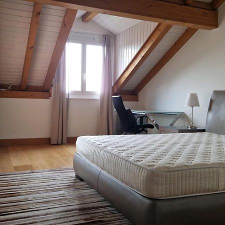 דירות ז'נבה Penthouse In Cologny Switzerland מראה חיצוני תמונה