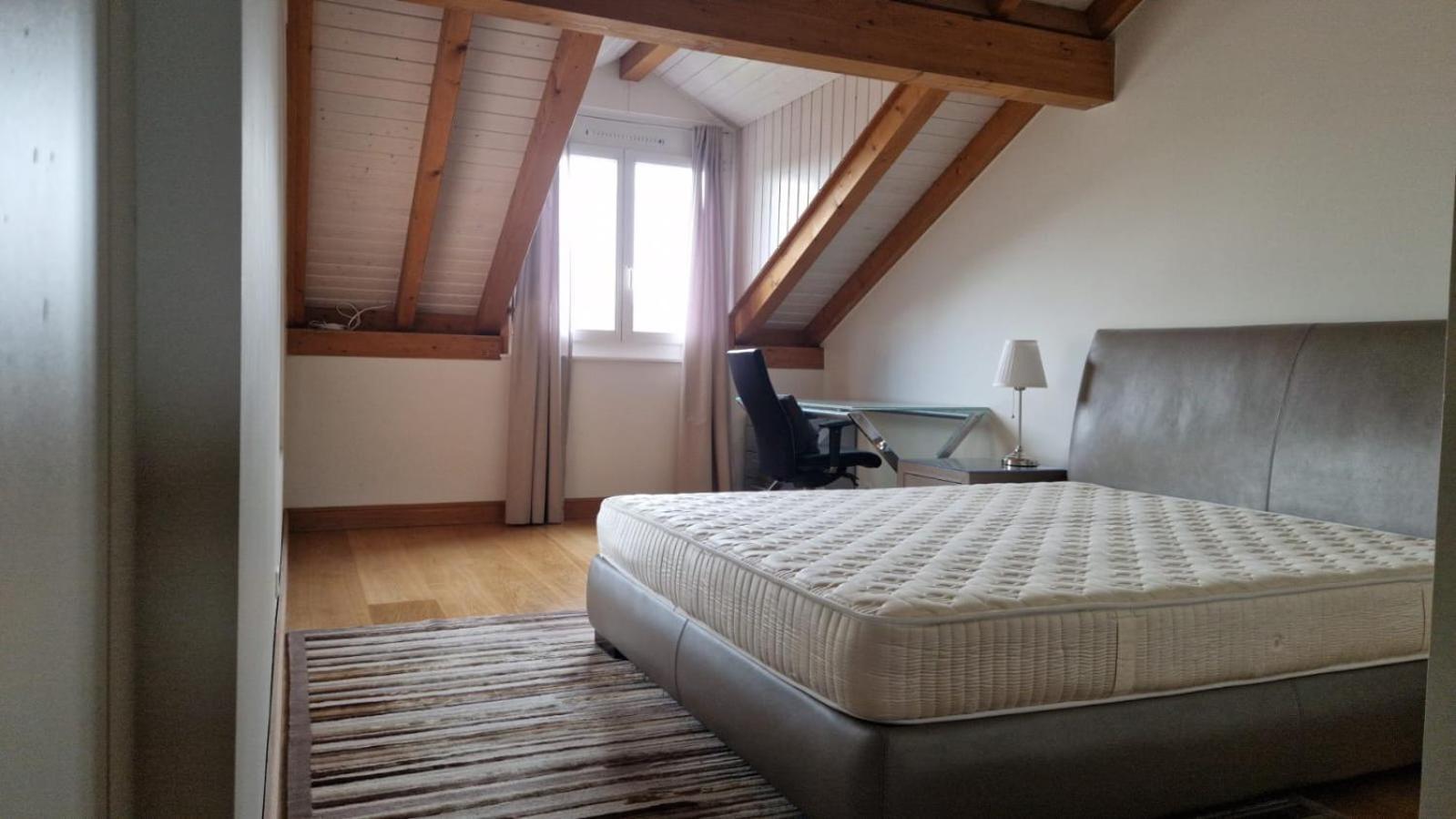 דירות ז'נבה Penthouse In Cologny Switzerland מראה חיצוני תמונה