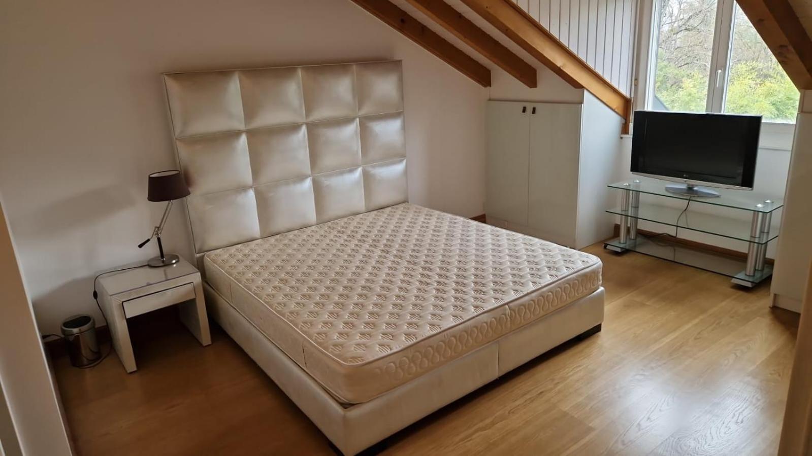 דירות ז'נבה Penthouse In Cologny Switzerland מראה חיצוני תמונה