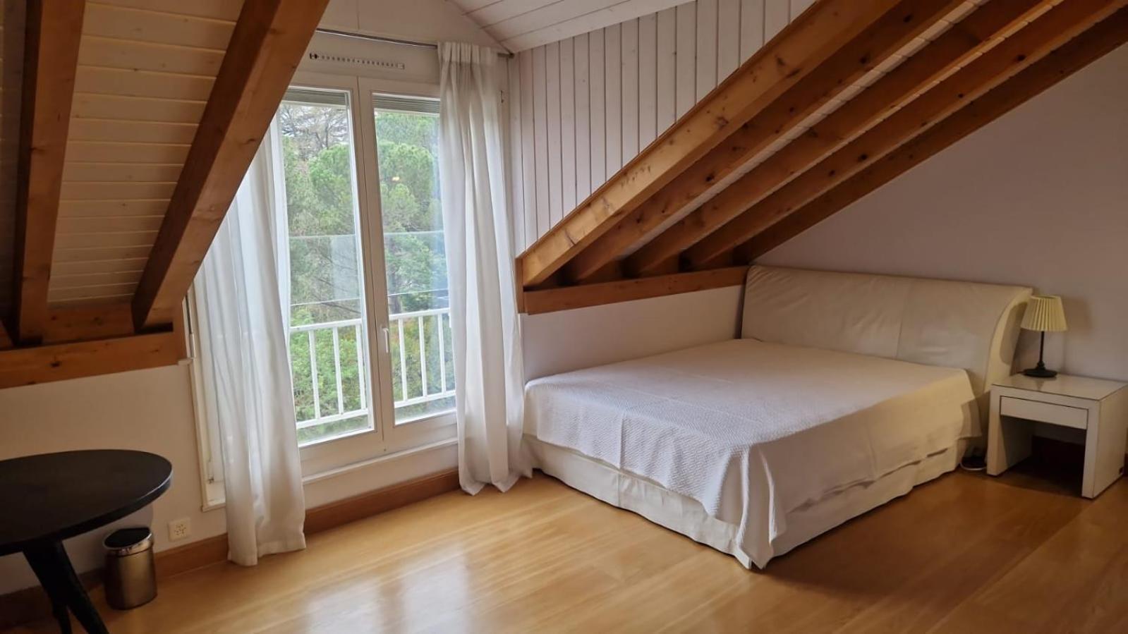 דירות ז'נבה Penthouse In Cologny Switzerland מראה חיצוני תמונה
